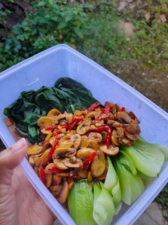 Foto resep Pakcoy Jamur Saus Tiram