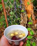 Chè Hạt Sen Táo Đỏ Nấm Tuyết Hạt Chia