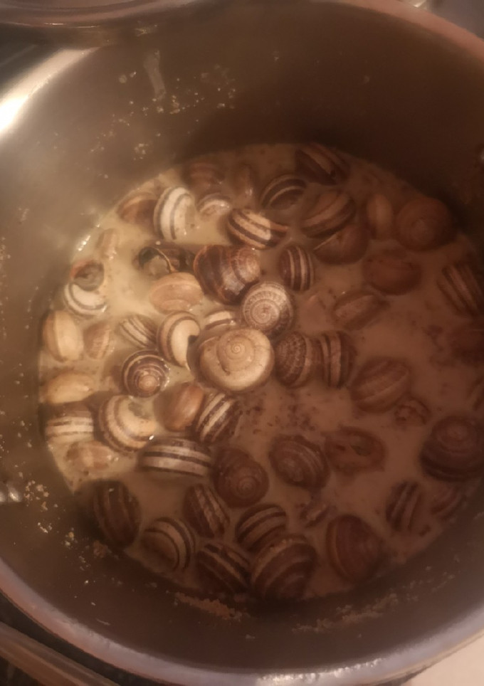 Una foto de Caracoles en salsa