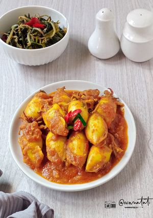 Foto resep Cumi Isi Tahu Masak Habang