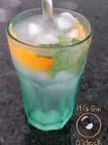 Gin com Laranja e Hortelã