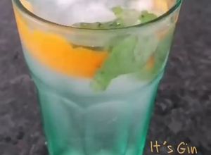 Foto de Gin com Laranja e Hortelã