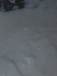 صورة لوصفة مايونيز أمونه بدون بيض
