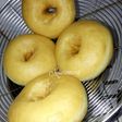 Donat Empuk menul tanpa kentang tanpa bread improver