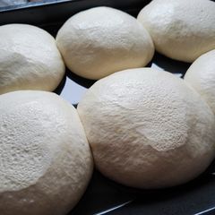 A picture of Dough for pizza (hydration 64%).