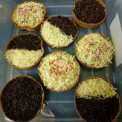 A picture of 313.*Martabak mini*.