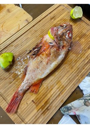 炭烤紅喉 的食譜成品照片