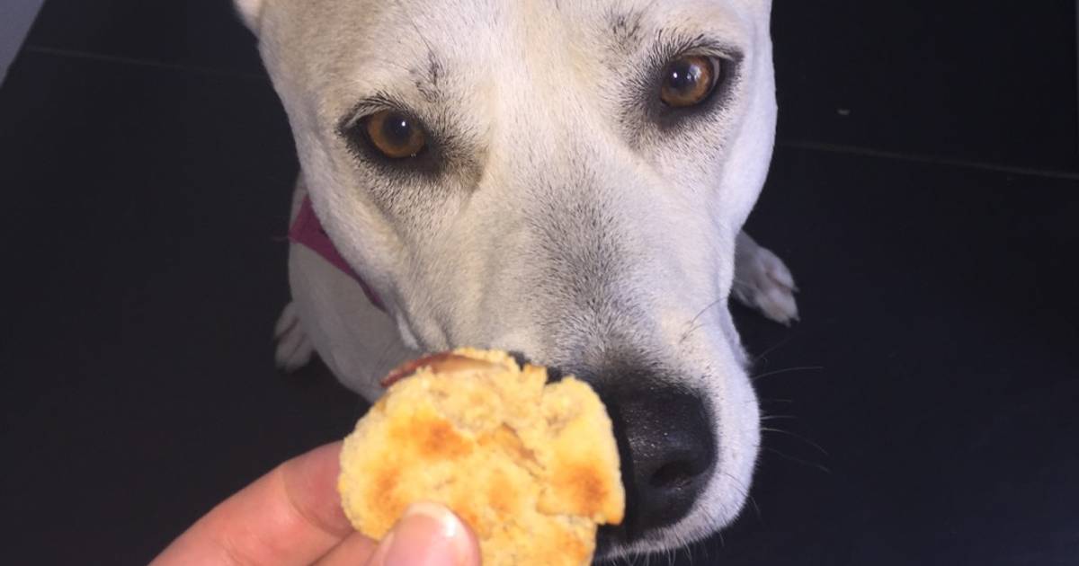 coconut flour dog treats