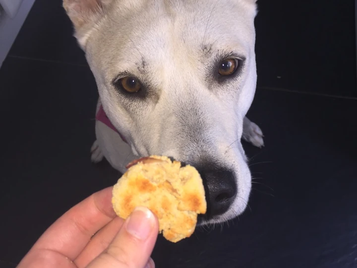 Easy Way Prepare Gluten-Free Coconut, Peanut and Apple Dog Biscuit Treats the Delicious Tasty