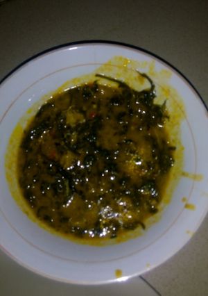 A picture of Bitter leaf soup.