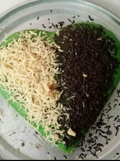 Foto resep Bolu kukus pandan simple