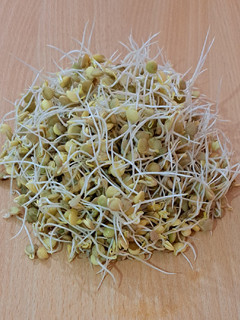 عکسی از دستور جوانه عدس