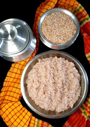 বিরনি/ বিরুইন চালের ভাত রেসিপির প্রধান ছবি