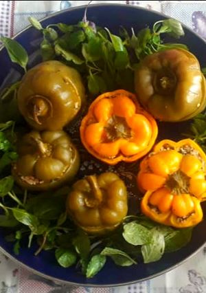 عکسی از دستور دلمه فلفل دلمه ای