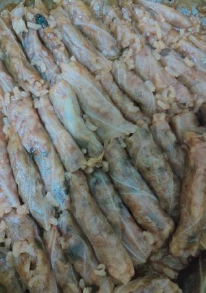 صورة لوصفة محشي كرنب (ملفوف)