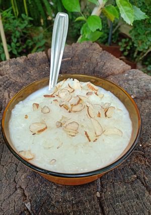 A picture of Skimmed milk kheer.