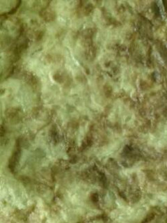 Foto principal de Tortilla de cebolla y puerro