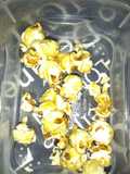 Pochoclos pururus palomitas