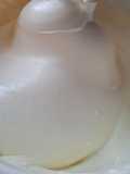 Diplomat Cream (isian soes)