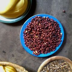 A picture of Dry peanuts.