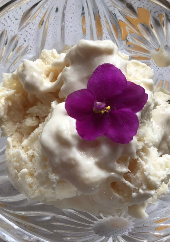 Una foto de Helado de guanábana