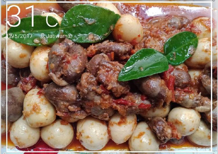 Resep Jantung ayam telur puyuh pedas, Sempurna