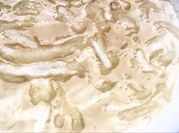 Hình ảnh của rau câu chân vịt