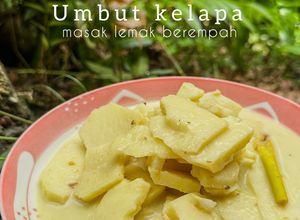 Gambar Umbut kelapa (masak lemak berempah)