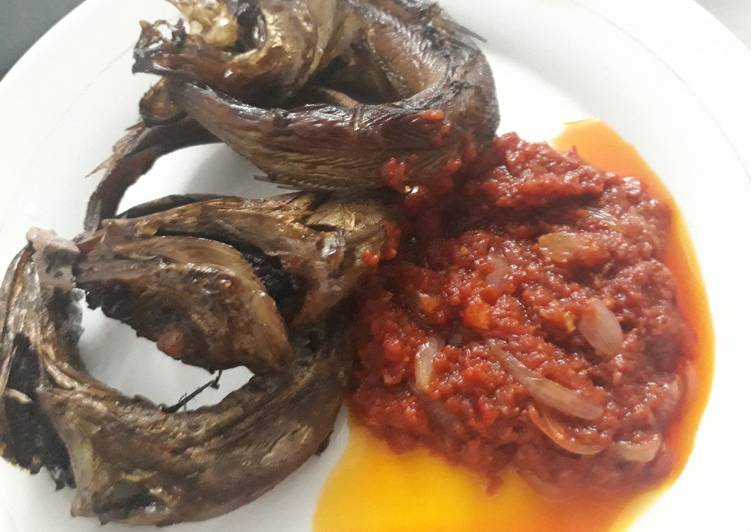 Grilled fish and pepper sauce