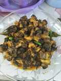 Rica rica keong mas sawah
