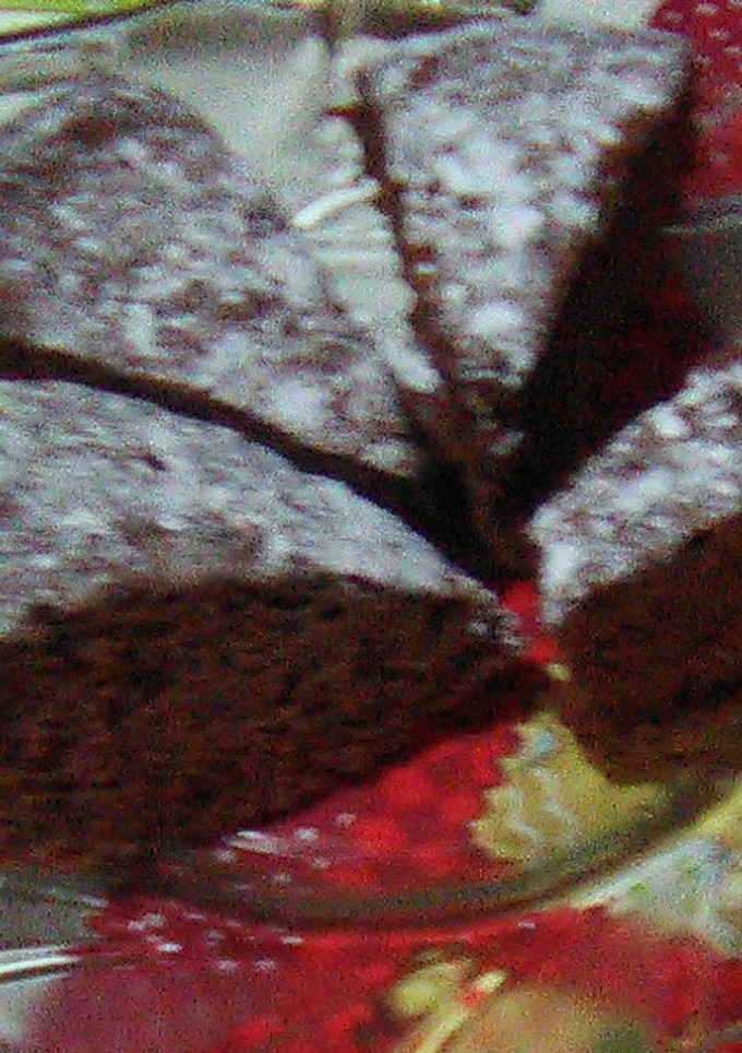 Una foto de Torta fácil de cacao