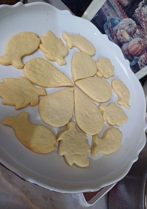 عکسی از دستور بیسکوییت ساده