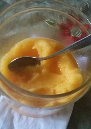 Foto resep Homemade Orange Sorbet🍧