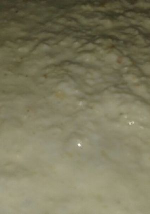 A picture of Homemade khoya.