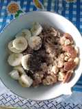Avena proteica