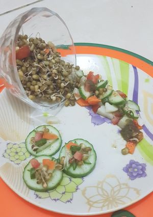 A picture of Sprouts.