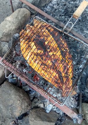 عکسی از دستور ماهی کباب ذغالی🐟😋🤩