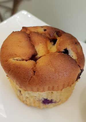 Foto resep Blueberry kefir cake ketofy