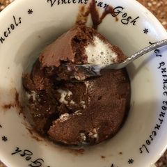 A picture of Chocolate S'mores mug cake.