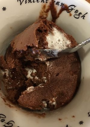 A picture of Chocolate S'mores mug cake.