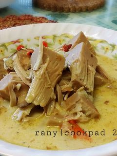 Foto resep Gulai Nangka Muda