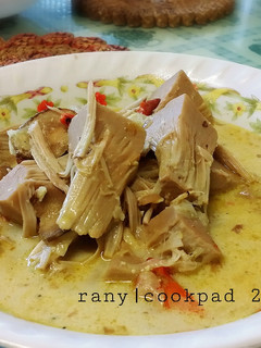 Foto resep Gulai Nangka Muda