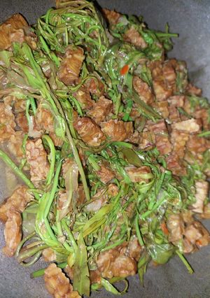 Foto resep Tumis Tempe Kalakai/pakis