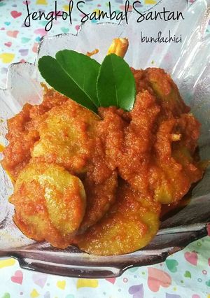 Foto resep Jengkol Sambal Santan
