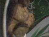 Terong Crispy