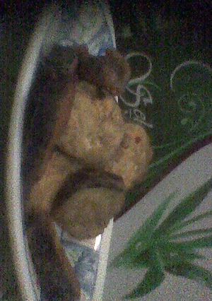 Foto resep Terong Crispy