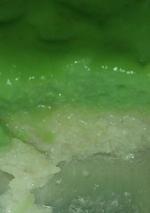 Foto resep Bulukat teutai (Aceh)