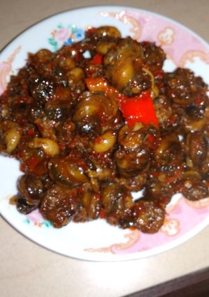 Foto resep Balado tutut