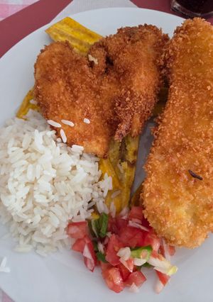 Una foto de Pollo Katsu con Tajadas de Plátano, Arroz y Pico de Gallo