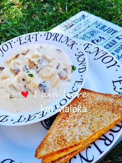 A picture of Creamy chicken mushrooms soup.